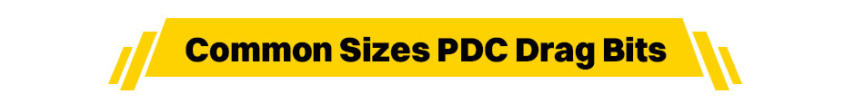 PDC Drag Bits