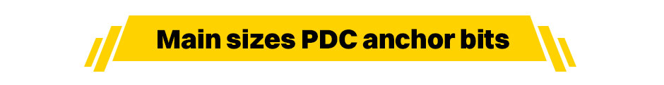 PDC Anchor Bit