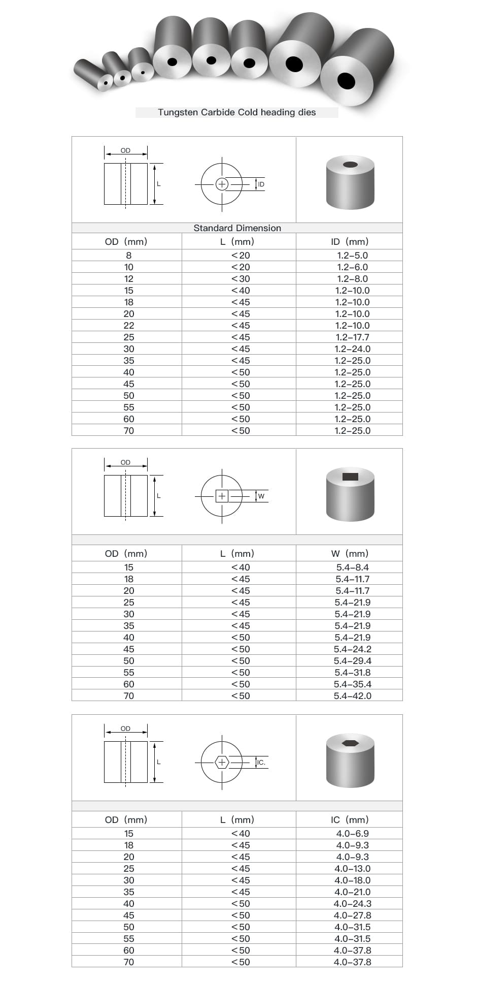 Tungsten Carbide Dies